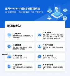 迅风DNS Pro二级域名分发V2.3.3系统源码