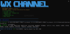 微信视频号下载助手v260110
