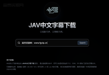 JAV中文字幕下载：简洁好用的外挂字幕站 支持FC2字幕检索