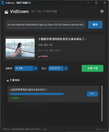 VidDown视频下载器 可下载B站/抖音/油管视频