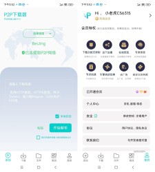 P2P下载器 1.5.4 Plus高级版