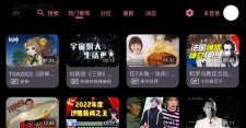 BV（哔哩哔哩第三方TV版）v0.3.6 支持动态|杜比视界