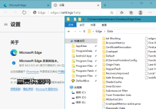 Microsoft Edge v142.0.3595.65增强版
