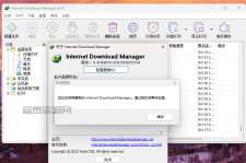 下载利器IDM v6.42.51绿色版
